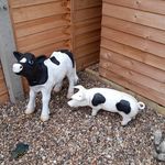 Paul Harness - @tweeky1st_ - Instagram