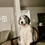 Paul Harshman - @pharshm04 - Instagram