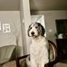 Paul Harshman - Facebook