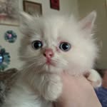 Paul F. Hartsock - @paulf.hartsock - Instagram
