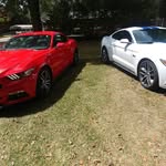 Paul Harvell - @phkh1949 - Instagram