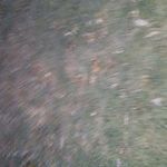 Paul Hatfield - @paul.hatfield.1217 - Instagram