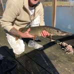 Paul Hauer - Facebook