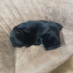paul - @paulhauer625 - Instagram