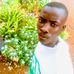 Nii Jean Paul Harroy - Facebook