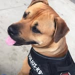 Paul Hearn - @paul.hearn.268 - Instagram
