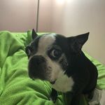 Paulette Heatherly - @pauletteheatherly - Instagram
