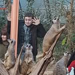 Paul Heaton - @paul.heaton.315 - Instagram