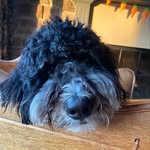 Paul Hegg - @odehegg - Instagram