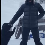 Paul Heggen - @heggenpaul - Instagram