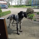Paul Hegger - @paul_hegger - Instagram