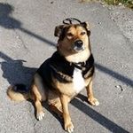 Richard Paul Heiniger - @richardheiniger - Instagram