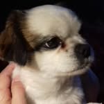 Heinz Paul hellmann - @heinzpaulhellmann - Instagram