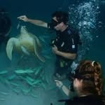 Paul Hellmann - @hellmannpaul - Instagram