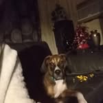 Paul Helmick - @p.helmick - Instagram