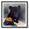 paulahembree905 - @paulahembree905 - TikTok