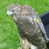Paul Hemming858 - @paulhemming5 - TikTok