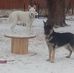 Paul Hemminger - Facebook