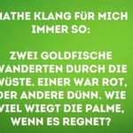 Paul Hennig - @p_hennig - Instagram