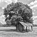 Paul Hepner Photos - Facebook