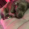 Paul - @paul.herring4 - TikTok