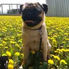 ♡Paula♡ - @paulaherzig06 - TikTok