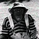 Paul Hessel - @paulhessel1977 - Instagram