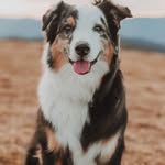 Paul hettie - @paulhettie37 - Instagram