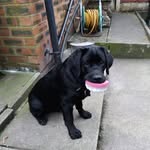 Paul Hitchen - @paul.hitchen.54 - Instagram