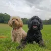 Paul Hitchen - @paul.hitchen - TikTok