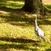 PAUL HITCHMAN - @paul.hitchman - TikTok