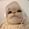 paulhitta - @paulhitta - TikTok