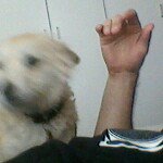 Paul Lipschitz - @paullipschitz - Instagram