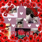 Paul Hodder - @paul.hodder.370 - Instagram