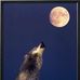 Paul Hoff - Facebook