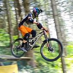 Paul Hoffmann - @paul__hoffmann - Instagram