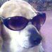 Joseph Paul Hoffmaster - Facebook