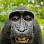 Paul hogarth - @pmhogarth - Instagram