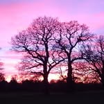 Paul Hogarth - @paul.m.hogarth - Instagram