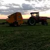 Paul Holler - @paulholler - TikTok