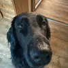 Paul Holler - @paul.holler2 - TikTok