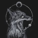 Paul Holz - @paul.ho.lz - Instagram
