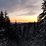 Paul Holz - @natura_aport_poland - Instagram
