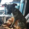 @littlethunder - @paulhome123 - TikTok