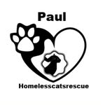 Paul_Homeless_Cats_Rescue - @paulhomelesscatrescue - Instagram