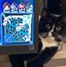 Paula Honig - Facebook