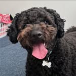 Paul Hooley - @paulh_071 - Instagram