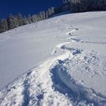 Paul Horner - @paul.horner.1291 - Instagram