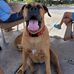 Paul Houser - Facebook