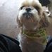 Paul Houser - Facebook